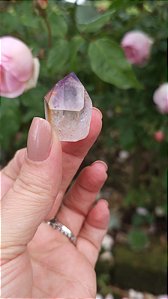 Casaco dos Sonhos - Dream Coat