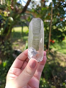 Mestre Lemuriano com Lodolita Branca