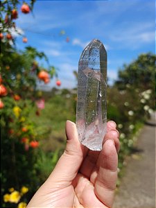 Mestre Phantom Negro Lemuriano