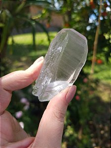 Mestre Lemuriano Plano com Imprint