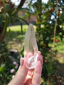 Mestre Lemuriano Curvo