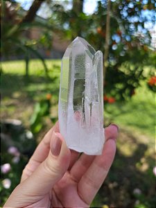 Mestre Lemuriano Catedral