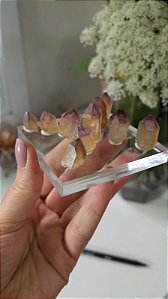 Lote Casaco dos Sonhos 10 und