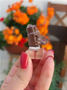 Drusa Coberta de Hematita