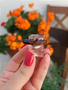 Drusa de Quartzo Coberto de Hematita