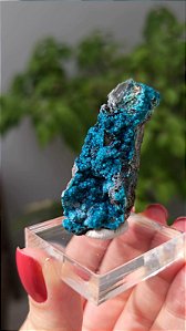 Crisocola no Quartzo