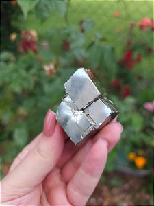 Drusa Pirita Peruana