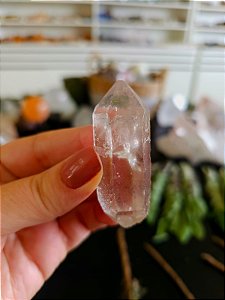 Mestre Semente Estelar e Biterminado