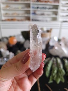 Mestre Semente Estelar, Biterminado e Elo do Tempo Passado