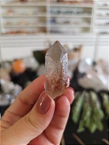 Mestre Semente Estelar, Ísis, Lemuriano e Elo do Tempo