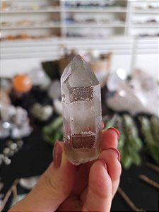 Mestre Gêmeos Tântricos, Ísis e Elo do Tempo Passado