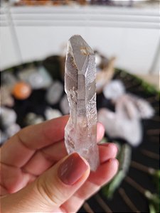 Mestre Semente Estelar