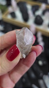 Mestre Ísis Gravado