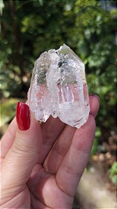 Mestre Biterminado Agregador