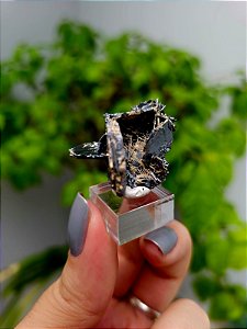 Hematita Especular com Rutilos