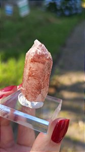 Formação Pink com Faces Autocurada