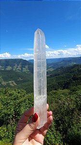 Autocurado Terremoto