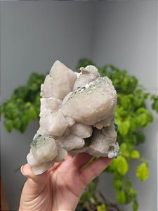 Formação Flor de Lótus (Quartzo Pseudomorfo após Calcita)