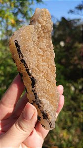 Calcedônia Amarela Sugar