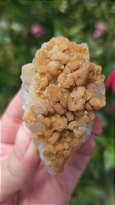 Calcedônia Dourada Sugar