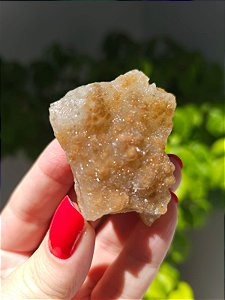 Calcedônia Sugar Dourada