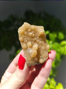 Calcedônia Sugar Dourada