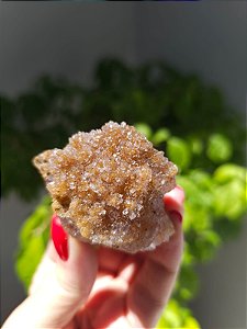 Calcedônia Sugar