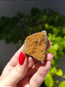 Calcedônia Sugar Dourada