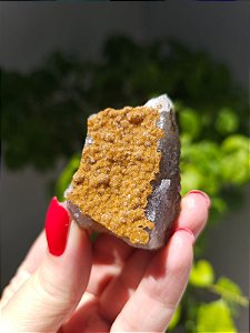 Calcedônia Sugar Dourada