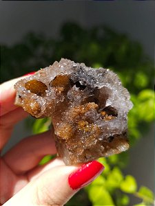 Calcedônia Sugar Dourado e Preto