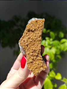 Calcedônia Sugar Dourado