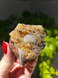 Calcedônia Sugar Dourado e Preto