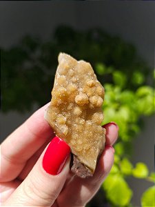 Calcedônia Sugar Dourado