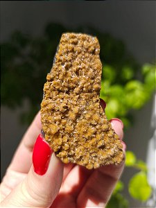 Calcedônia Sugar Dourado