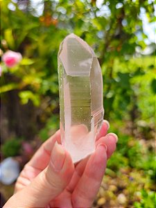 Lemuriano Rosa Elo do Tempo Passado