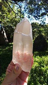 Agente de Cura Dourado Lemuriano