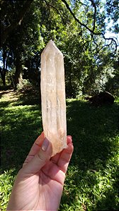 Agente de Cura Dourado Autocurado