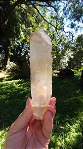 Agente de Cura Dourado Autocurado