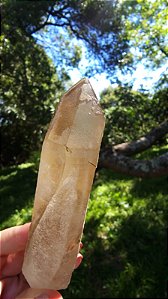 Agente de Cura Dourado Autocurado