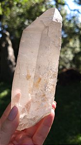 Agente de Cura Dourado Autocurado