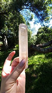 Agente de Cura Dourado Autocurado