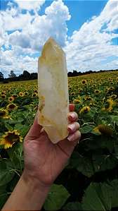 Curandeira de Ouro com Rutilos Cobre