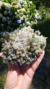 Drusa Estalactites Verdes e Brancas