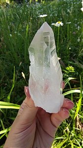 Mestre Lemuriano Autocurado