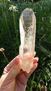 Deusa de Avalon e Semente Estelar