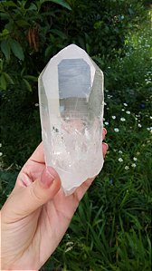 Mestre Canalizador, Lemuriano com Imprint