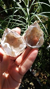 Geodo de Ágata Cristalizada