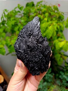 Cianita Negra - Vassoura de Bruxa