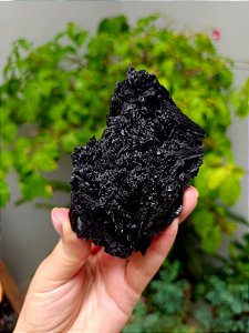 Cianita Negra - Vassoura de Bruxa