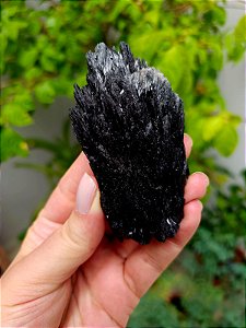 Cianita Negra - Vassoura de Bruxa